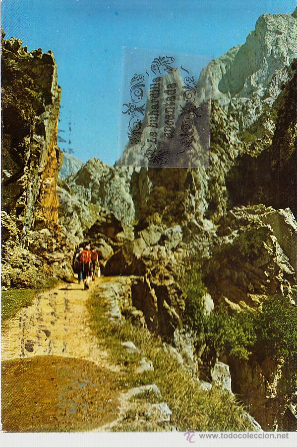 Cartoline: POSTAL - PICOS DE EUROPA - GARGANTA DEL CARES - CIRCULADA CON SELLO A&Ntilde;O 1979