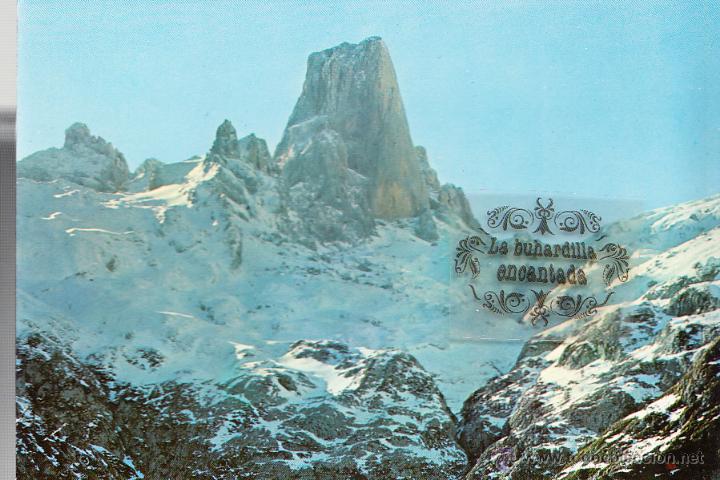 Cartoline: POSTAL - PICOS DE EUROPA - NARANJO DE BULNES - CIRCULADA SIN SELLO