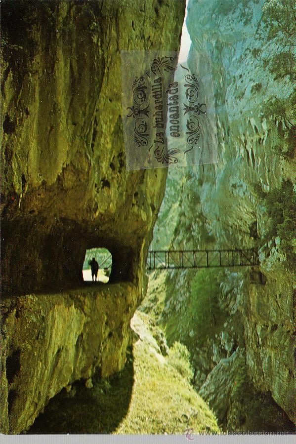 Cartoline: POSTAL - PICOS DE EUROPA - GARGANTA DEL CARES - NO CIRCULADA