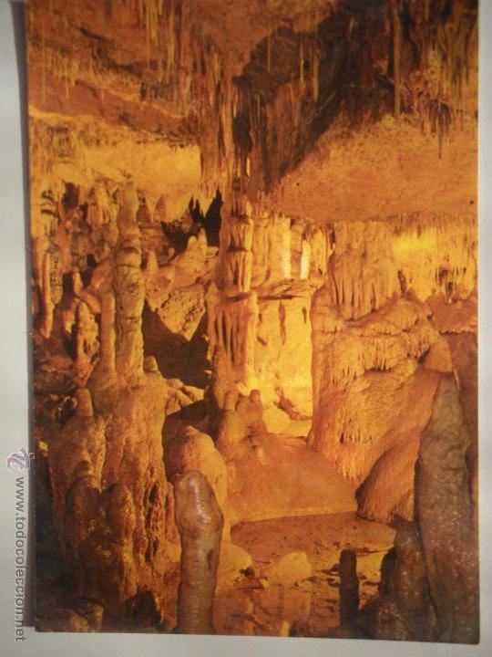 Postales: MAGNIFICA POSTAL DE - CUEVAS DE ALTAMIRA - SIN CIRCULAR - - Foto 1