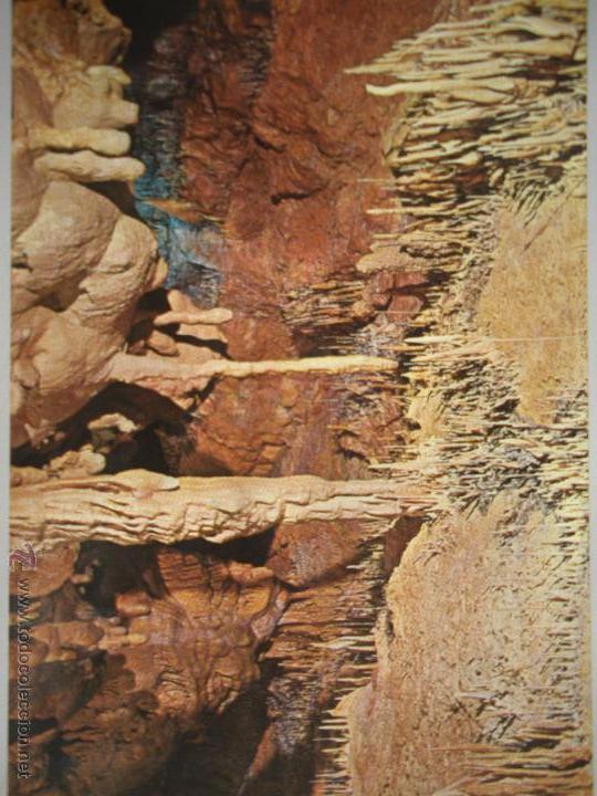 Postales: MAGNIFICA POSTAL DE - CUEVAS DE ALTAMIRA - SIN CIRCULAR - - Foto 1
