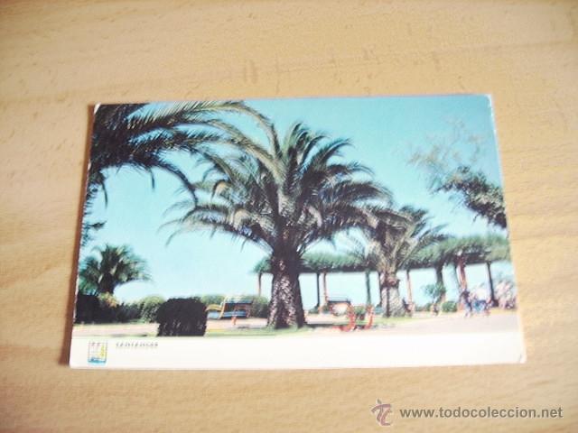 Postales: SANTANDER  --  PARQUE DE PIQUIO  -- - Foto 1
