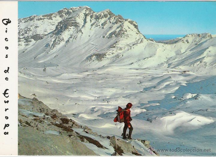 Postales: PICOS DE EUROPA - POTES 73 - Foto 1