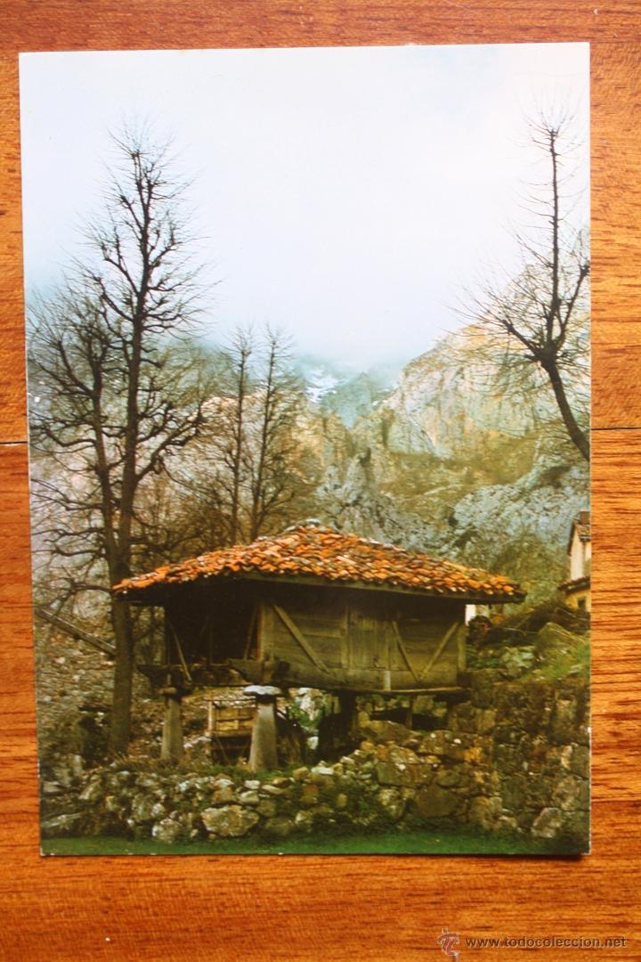 Postales: PICOS DE EUROPA. HORREO - Foto 1