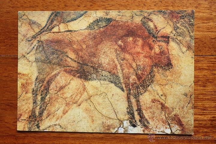 Cartoline: CANTABRIA. CUEVAS DE ALTAMIRA. GRAN BISONTE.