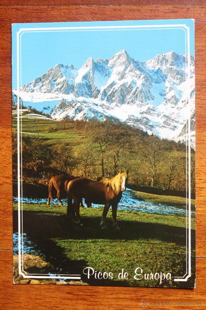 Cartoline: PICOS DE EUROPA.EL JISO-PRAO CORTES. 2,170-2,287 mts.