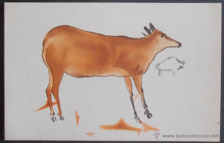 Cartoline: POSTAL,PATRONATO DE LAS CUEVAS DE ALTAMIRA,N&ordm; 1,(38110),CONSERVACION,VER FOTOS