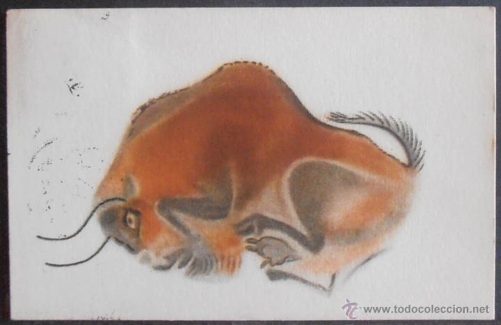 Cartoline: POSTAL,PATRONATO DE LAS CUEVAS DE ALTAMIRA,N&ordm; 3,(38112),CONSERVACION,VER FOTOS