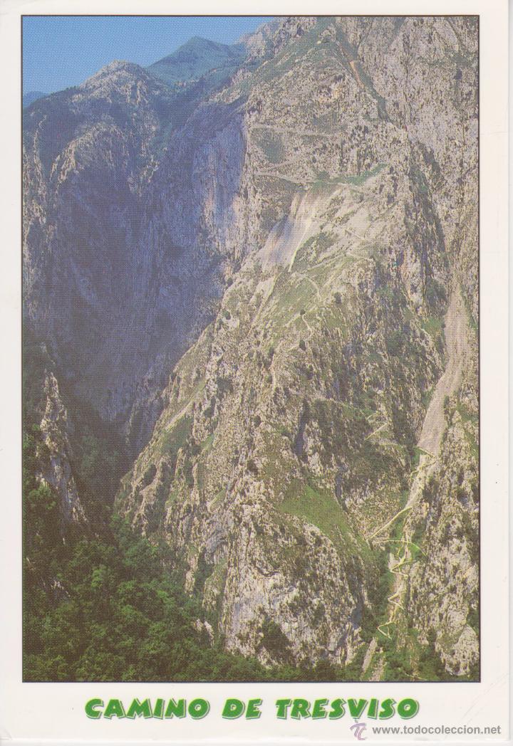 Postais: (293) CANTABRIA. PICOS DE EUROPA. CAMINO DE TRESVISO