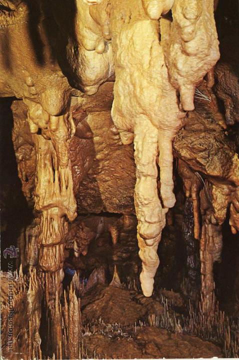 Postales: MAGNIFICA POSTAL CUEVAS DE ALTAMIRA - Foto 1
