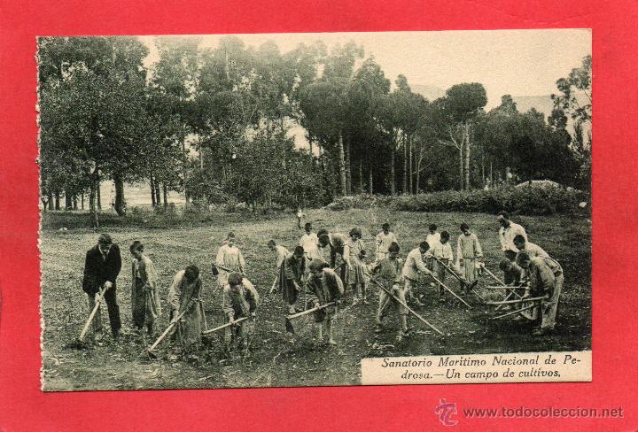 Postales: pedrosa. sanatorio mar&iacute;timo nacional - Foto 1
