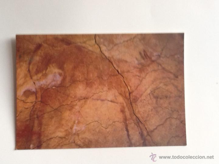 Postais: POSTAL SIN CIRCULAR. CUEVAS DE ALTAMIRA.  ENVIO INCLUIDO EN EL PRECIO.