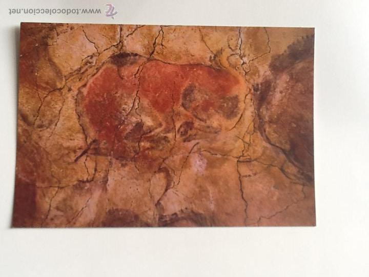 Postais: POSTAL SIN CIRCULAR. CUEVAS DE ALTAMIRA. ENVIO INCLUIDO EN EL PRECIO.