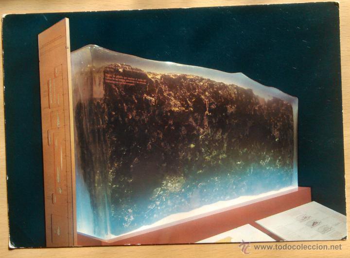 Postcards: ALTAMIRA - CAPSULA DEL HOMBRE DE MORIN