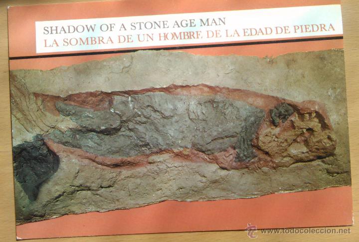 Postcards: ALTAMIRA - ENTERRAMIENTO DEL HOMBRE DE MORIN