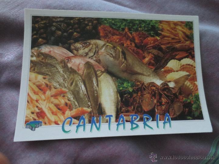 Postales: pescado  peces  santander  cantabria - Foto 1