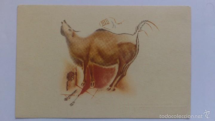 Postcards: POSTAL PATRONATO DE LAS CUEVAS DE ALTAMIRA, N&ordm; 2, BISONTES GALOPANDO Y MUGIENDO
