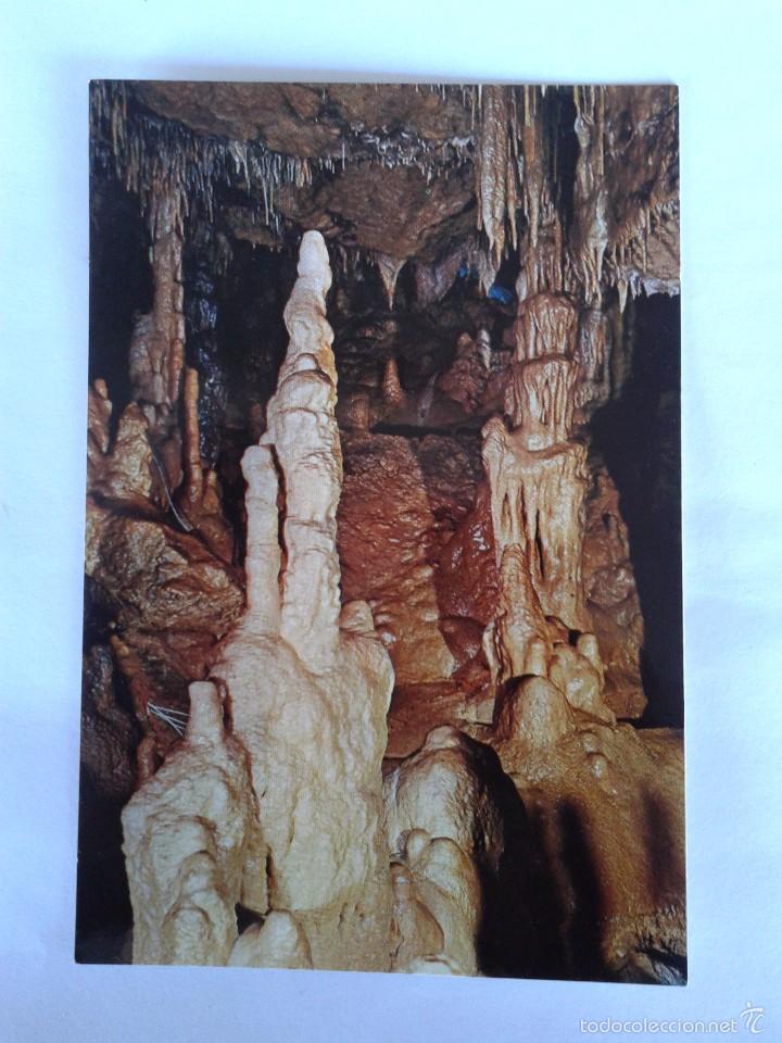 Postais: POSTAL -- CUEVAS DE ALTAMIRA -- SIN USO --