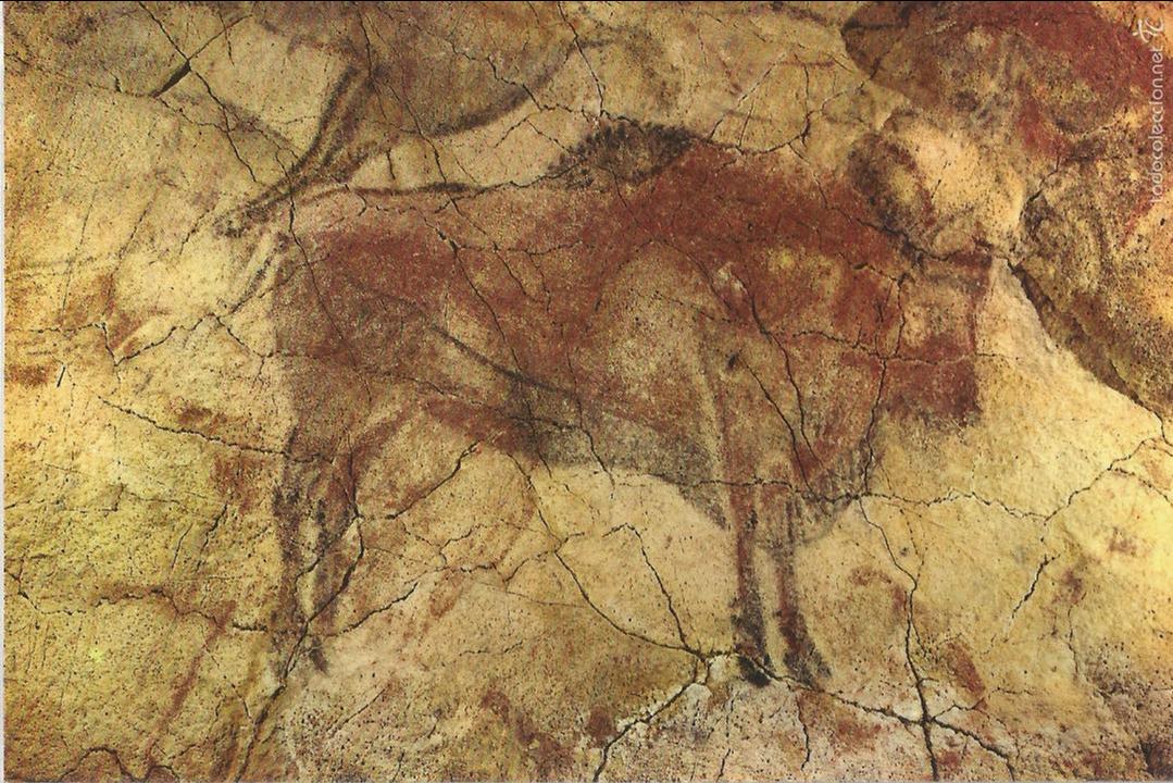 Postales: ALTAMIRA (CANTABRIA), BISONTE - ED.JOAQUIN BEDIA N&ordm; 501 - SIN CIRCULAR