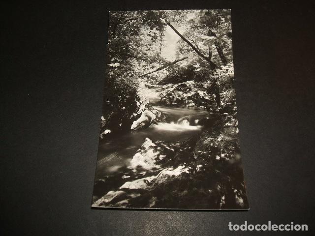 Postales: LLERANA CANTABRIA DETALLE DEL RIO - Foto 1