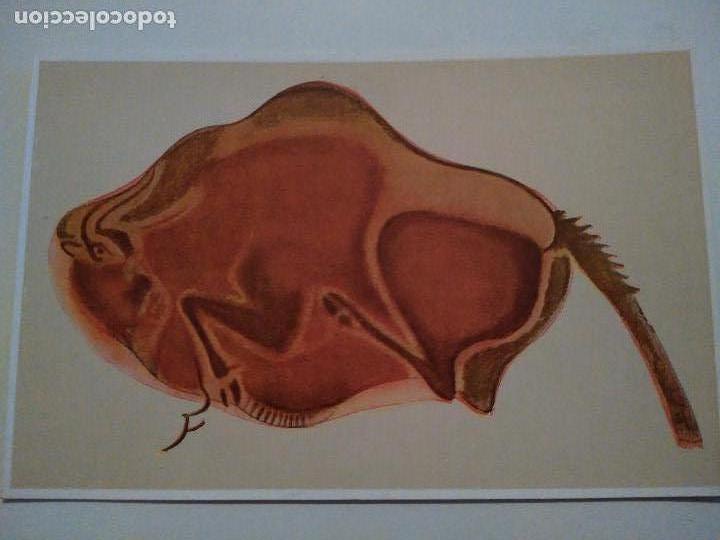 Postales: Postal. Pintura prehist&oacute;rica. Cueva de Altamira: Bisonte.