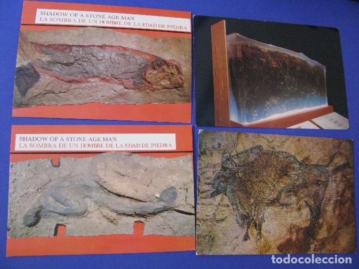 Postales: LOTE DE 4 POSTALES DE ALTAMIRA. - Foto 1