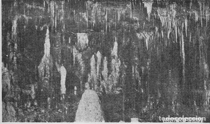 Postales: CUEVAS DE ALTAMIRA - Foto 1
