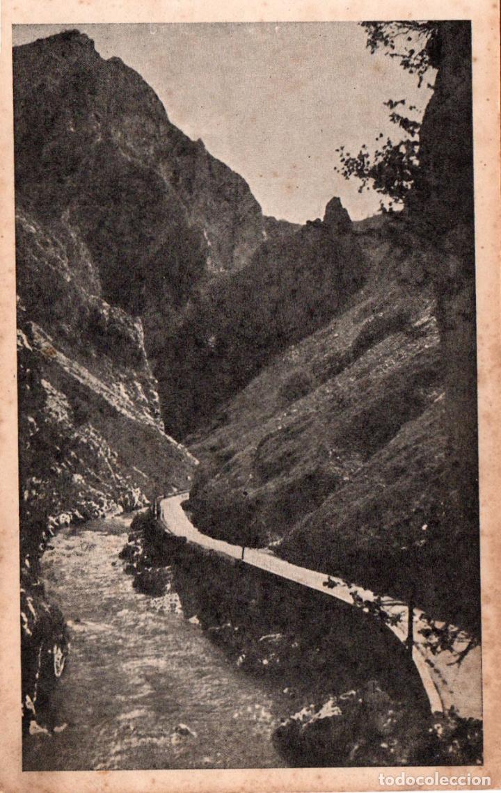 Cartoline: Carretera de la Hermida, Cantabria. Foto Eusebio Bustamante.