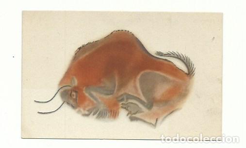 Postales: Bisonte hembra Altamira - Foto 1