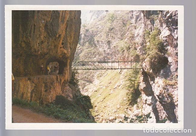 Postales: CANTABRIA. RUTA DEL CARES - Foto 1