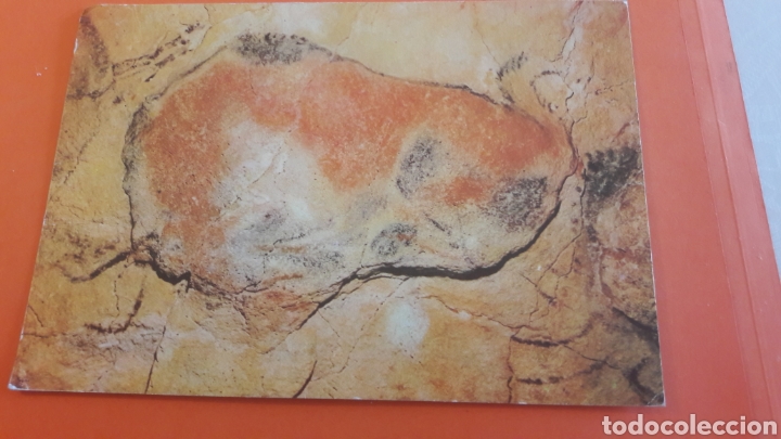 Postales: Cuevas altamira Santander - Foto 1