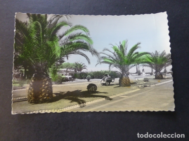 Postales: SANTANDER JARDINES DE PIQUIO - Foto 1