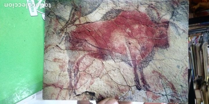 Postales: Postal Cuevas de Altamira Bisonte parado - Foto 1