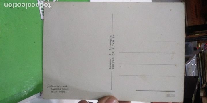 Postales: Postal Cuevas de Altamira Bisonte parado - Foto 2