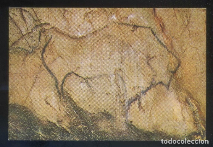 Cartes Postales: Puente Viesgo. *Cuevas... Bisonte* Ed. A. Bustamante H. n&ordm; 1003. Nueva.