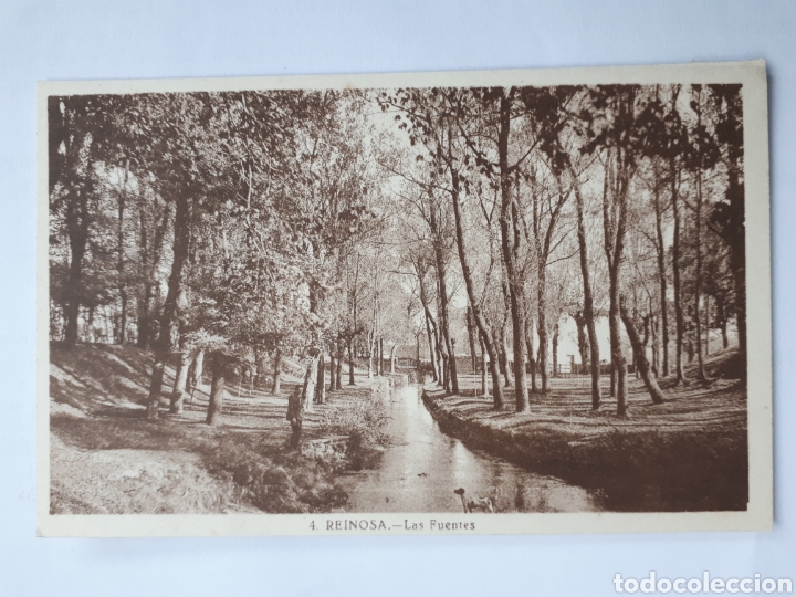 Postales: 4. REINOSA. - Las Fuentes - Foto 1