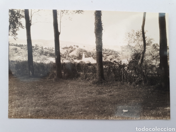 Postales: 501. - ALCEDA. Parque de Alceda. Ediciones G&oacute;mez - Foto 1