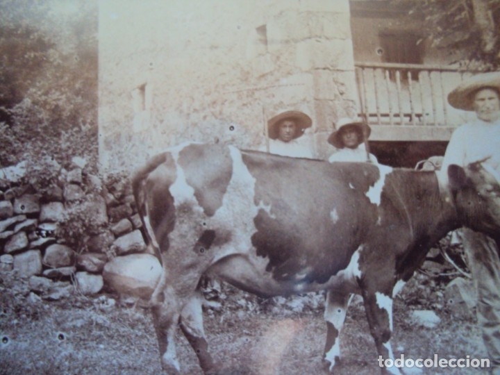 Postales: (PS-61972)COMILLAS(SANTANDER)-ALDEANOS - Foto 2