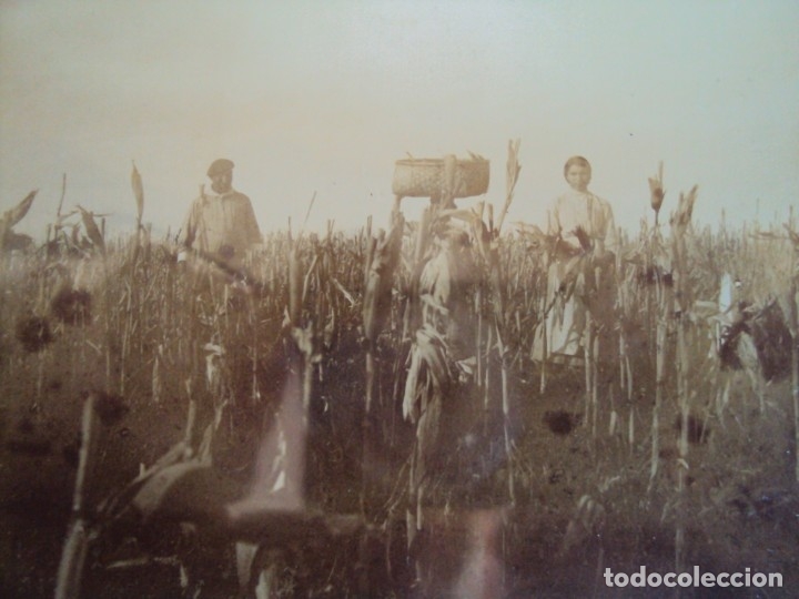 Postales: (PS-61991)COMILLAS(SANTANDER)-ALDEANOS - Foto 2