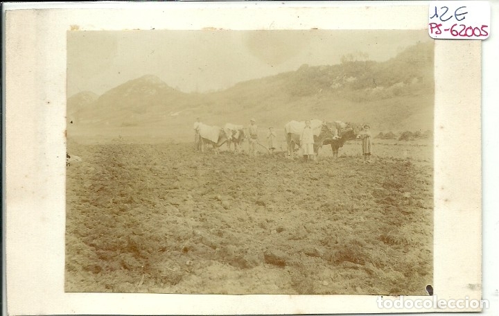 Postales: (PS-62005)COMILLAS(SANTANDER)-LABORES AGRICOLAS - Foto 1