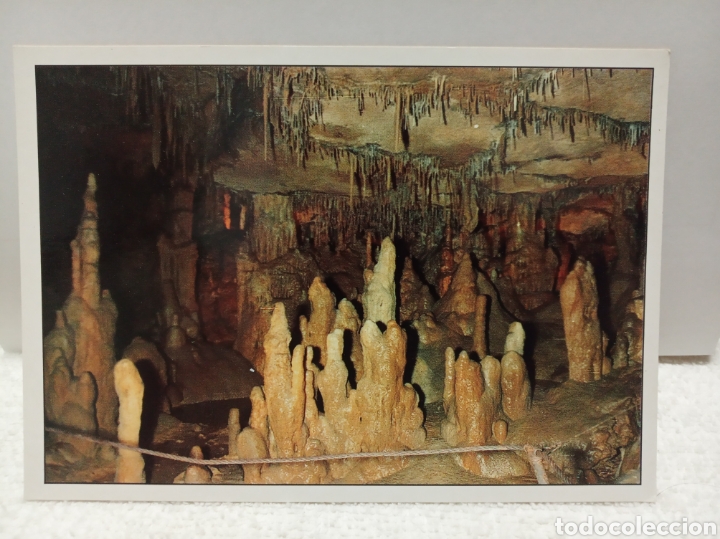 Postales: Cuevas de Altamira - Foto 1