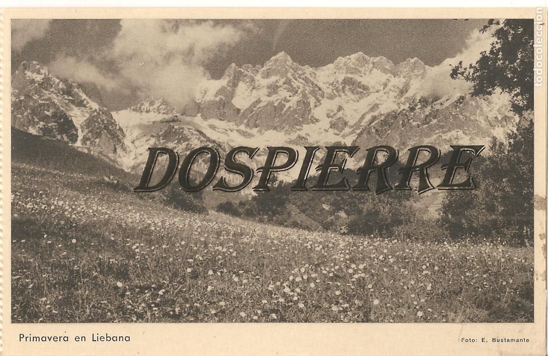 Postais: POSTAL, PRIMAVERA EN LI&Eacute;BANA, FOTO BUSTAMANTE, RIEUSSET, SIN CIRCULAR