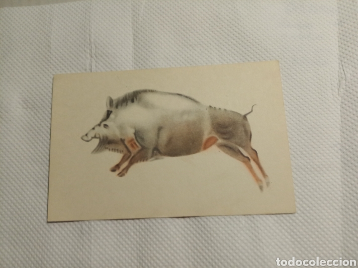 Postales: Patronato de las cuevas de Altamira - Foto 1