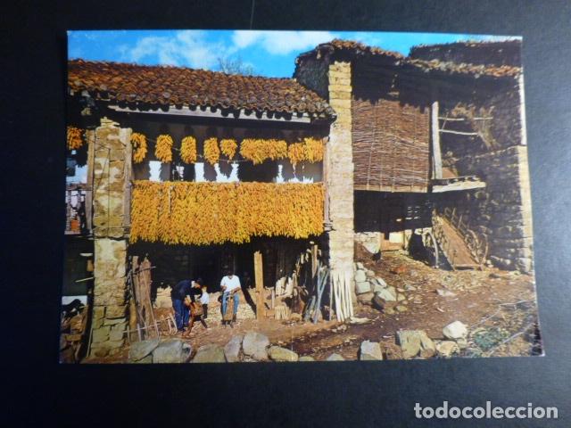 Postales: SAJA CANTABRIA SECADO DE MAIZ - Foto 1
