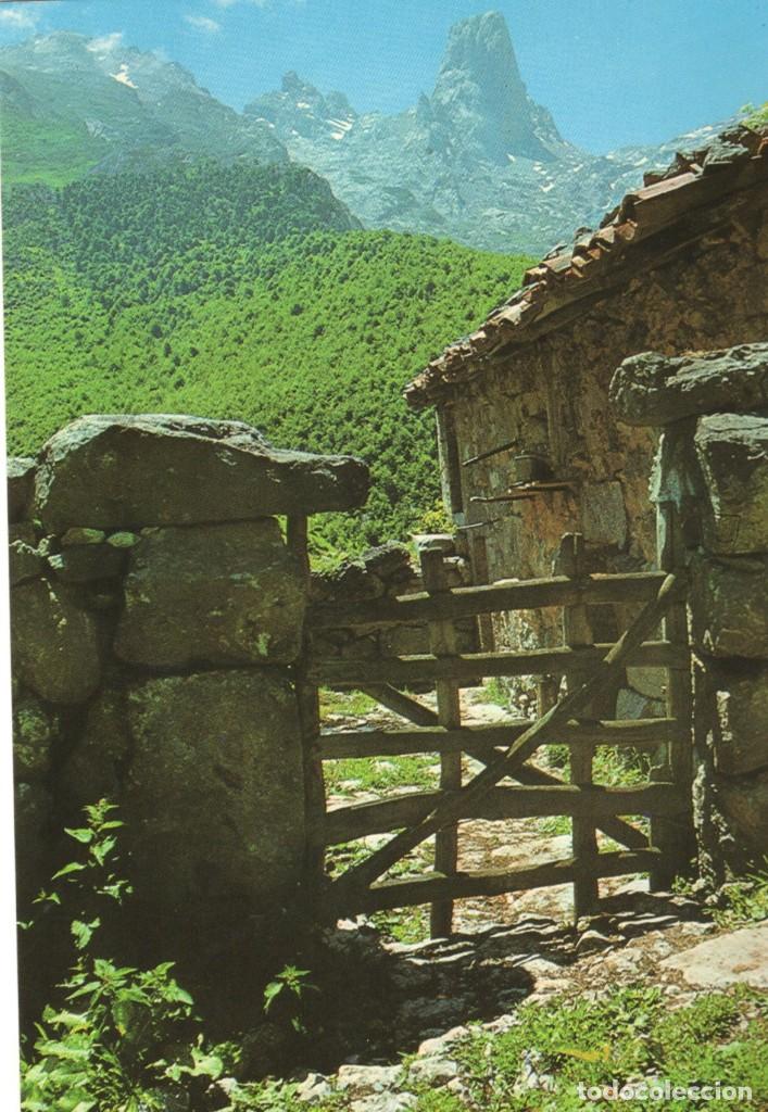 Postales: Picos de Europa 3 Postales - Foto 1