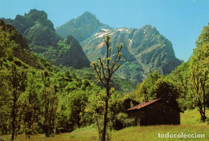 Postales: Picos de Europa 3 Postales - Foto 2