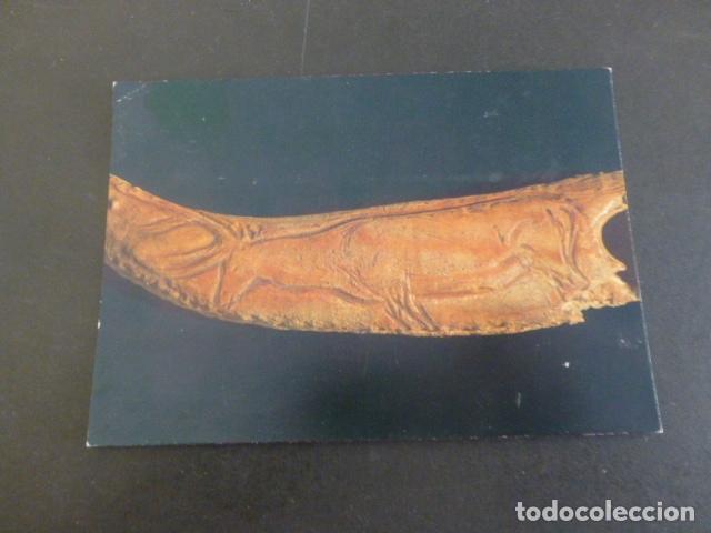 Postales: SANTANDER CANTABRIA MUSEO DE PREHISTORIA - Foto 1