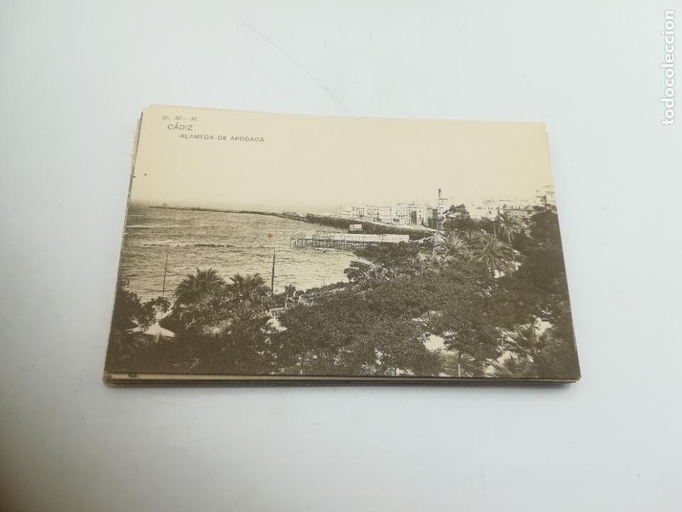 Postales: TARJETA POSTAL. CADIZ. ALAMEDA DE APODACA. HAUSER Y MENET - Foto 1