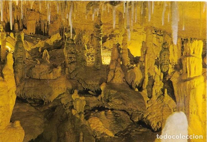 Postales: :::: C210 - POSTAL - CUEVAS DE ALTAMIRA - Foto 1