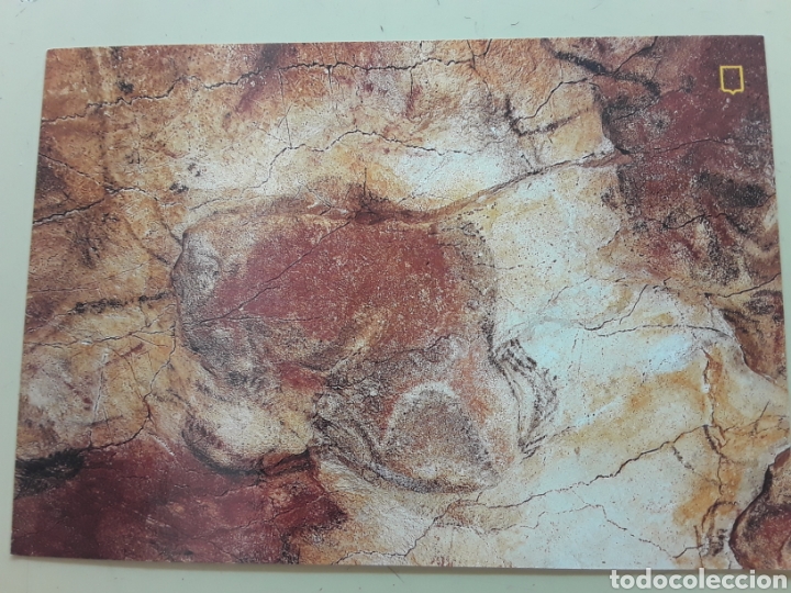Postales: 2 Postales de la Cueva de Altamira ( Cantabria) - Foto 3